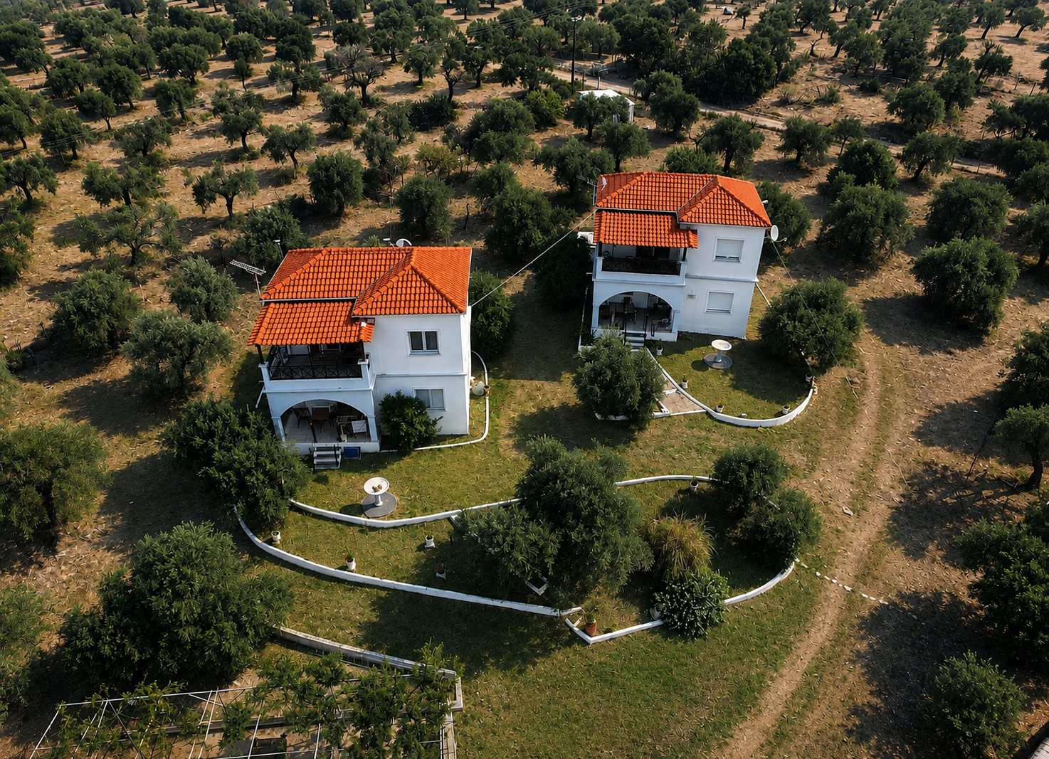 Kalliopi's Houses from above: two white houses with orange roofs in an olive grove