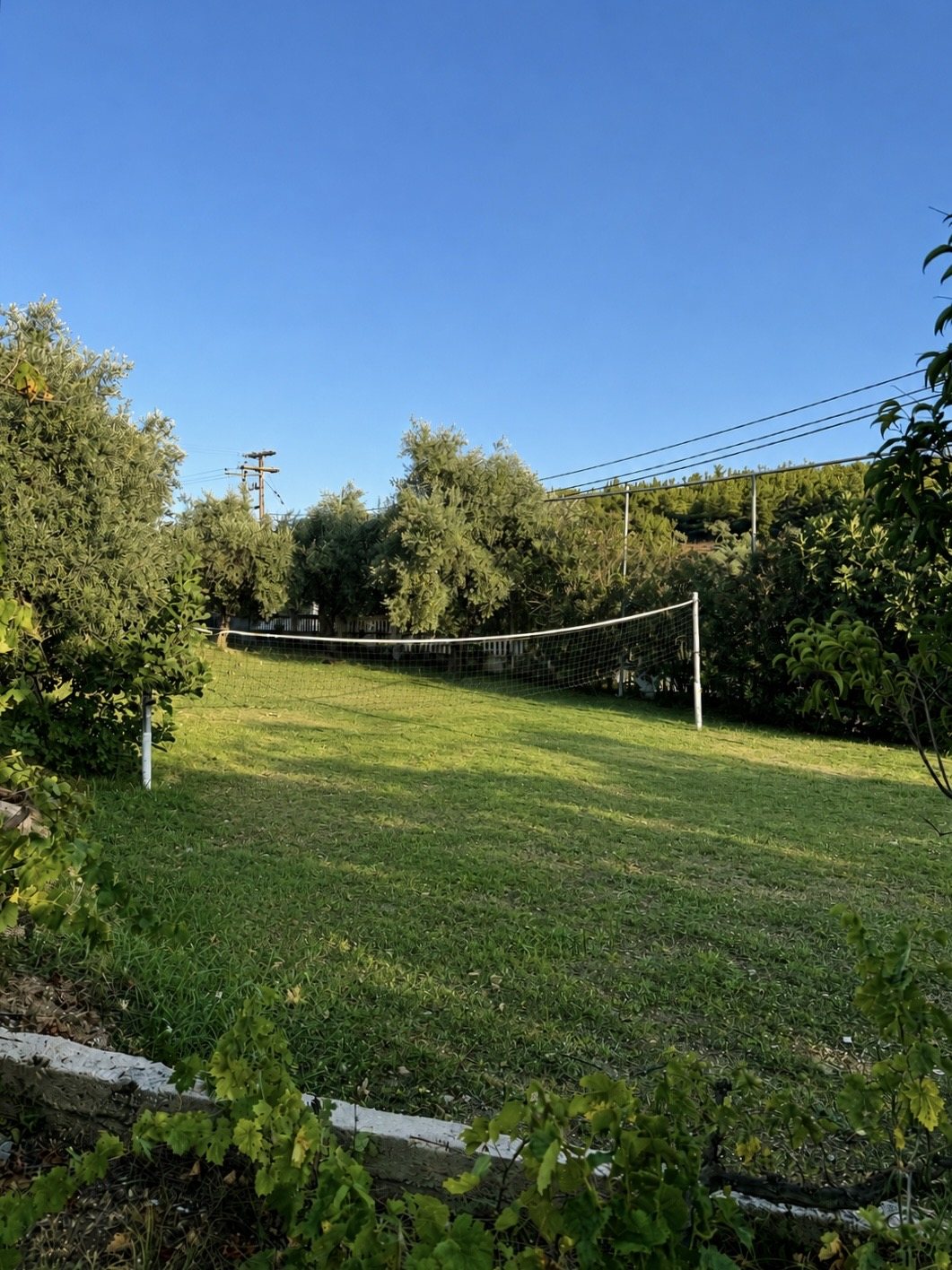 Volleyball net on the lawn